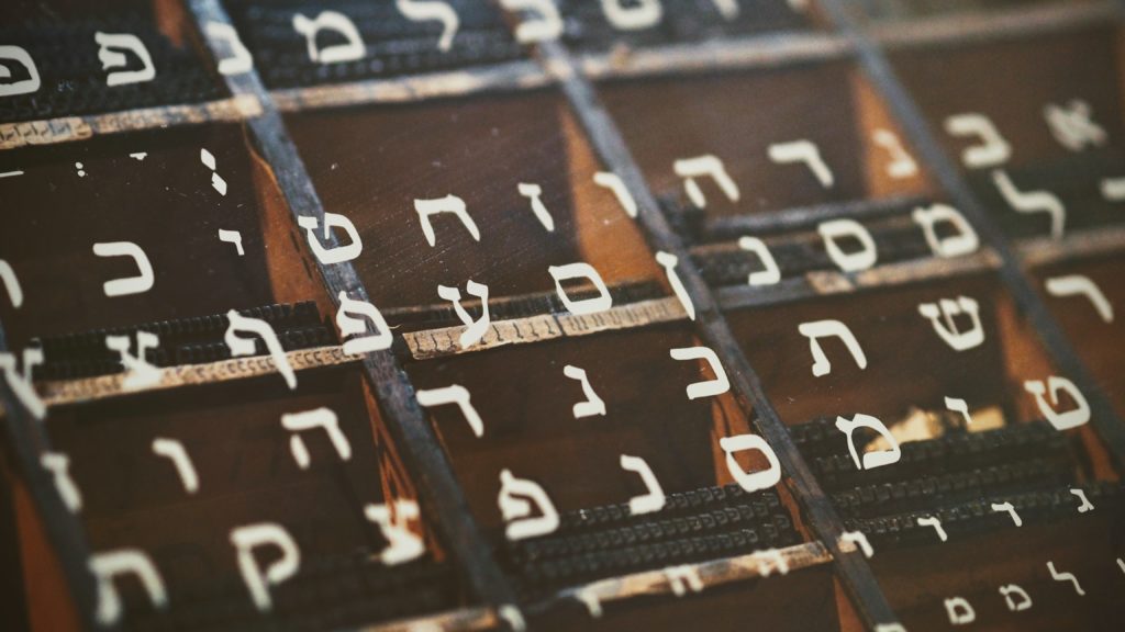 עורכת מלַוָוה